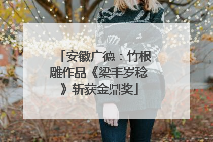 安徽广德：竹根雕作品《梁丰岁稔》斩获金鼎奖